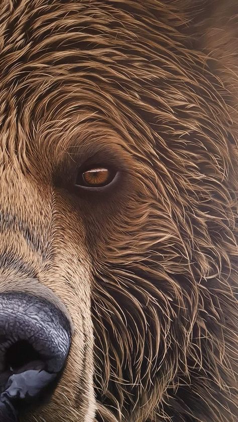 Bear Paintings Acrylic, Black Bears Art, Bears Wallpaper, Bear Artwork, Bear Paintings, Animal Illustration Art, Black Bears, Bear Pictures, Wood Burning Art