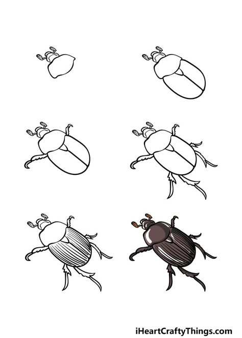 How To Draw Insects, Beetle Drawing, Bugs Drawing, Beetle Illustration, Kid Drawing, Snake Drawing, Drawing Step By Step, Bug Art, Meaningful Drawings