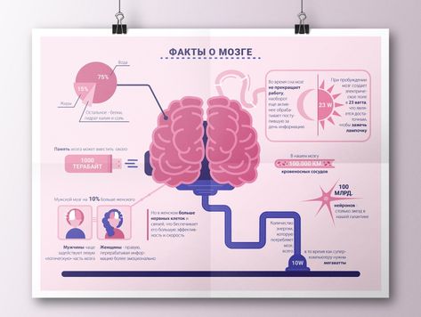 Infographic about brains by Alena Creative Infographic Poster, Creative Infographic Design Ideas, Medical Infographic Design, Brain Graphic Design, Magazine Infographic, Medical Magazine, Brain Infographic, Europass Cv, Astronomy Magazine