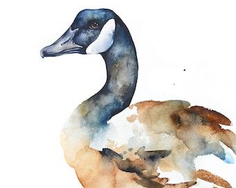 Goose Watercolor, Watercolor Wildlife, Draw Birds, Watercolour Animals, Water Paintings, Jane Davies, Painted Things, Watercolour Ideas, Paintings Tutorials