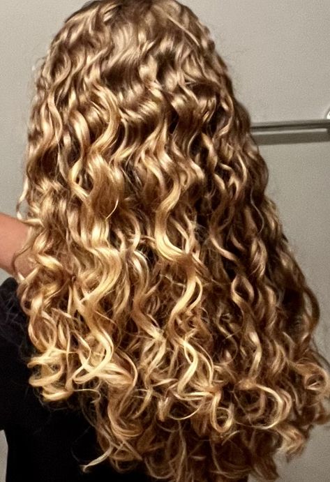 Frizzy Hair Aesthetic, Golden Brown Curly Hair, Blonde Curly Hair Natural, Healthy Curly Hair, Curly Blonde Hair, Hair Inspired, Natural Curly Hair Cuts, Frizzy Curly Hair, Highlights Curly Hair