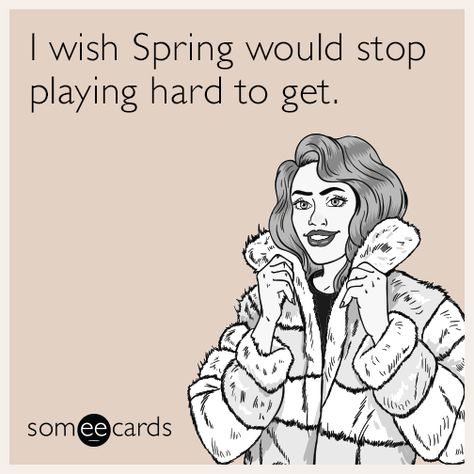 I wish Spring would stop playing hard to get. Spring Funny Quotes, Sarcastic Words, Spring Funny, Weather Quotes, Spring Quotes, Adulting Quotes, Witty Quotes, Funny Sayings, E Card