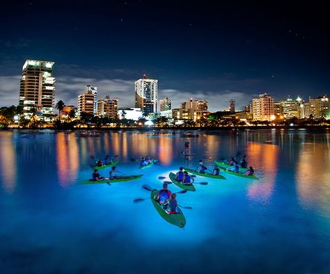 Enjoy kayaking at night with an innovative LED light system on our clear-bottom kayaks that illuminates the sea below you during this 1-hour tour in Puerto Rico! Condado Puerto Rico, Kayak Lights, Bay Boat, El Yunque Rainforest, Bioluminescent Bay, Puerto Rico Trip, Puerto Rico Vacation, Glass Bottom Boat, Dark Paint