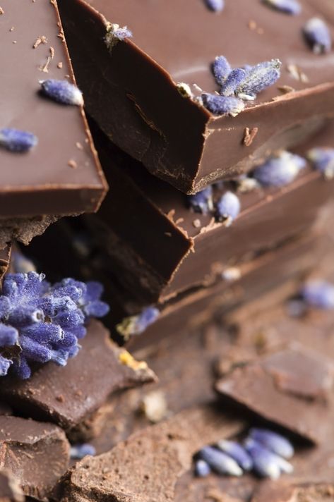 Homemade chocolate with lavender flowers Lavender Chocolate, Cacao Recipes, Fair Trade Chocolate, Lavender Fragrance, Homemade Hot Chocolate, Homemade Whipped Cream, Hot Chocolate Recipes, Lotion Bars, Fragrance Oils