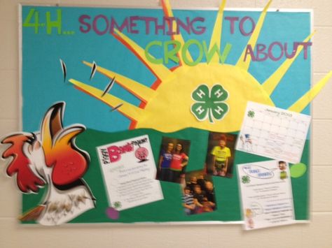 Bulletin board for 4-H Classroom Planning, Booth Ideas, Ffa, Scrapbooking Ideas, Bulletin Boards, Bulletin Board, 4 H, Scrapbooking, How To Plan