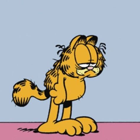 Garfield no Instagram: “the 612 months of 2020 are almost over” Fat Orange Cat, Garfield Pictures, Garfield Images, Garfield The Cat, Garfield Cat, Orange Kittens, Garfield And Odie, Good Cartoons, Fat Cats