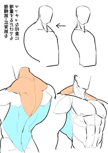 Anatomy Tutorial, Human Anatomy Drawing, Body Drawing Tutorial, Human Anatomy Art, Anatomy Sketches, Easy Art Projects, Body Reference Drawing, 캐릭터 드로잉, Anatomy Drawing