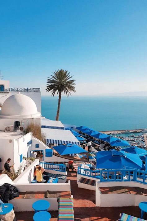 Tunisia Aesthetic, Tunisia Photography, Sidi Bou Said Tunisia, Africa Aesthetic, Tunisia Africa, Tunisia Travel, Tunis Tunisia, Sidi Bou Said, Muslim Countries