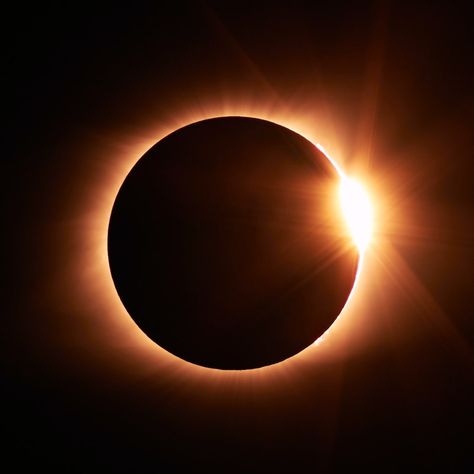 We see four eclipses in 2022, two in May, one in October, and November. Two are a Partial Solar Eclipse, the other two are a Total Lunar Eclipse. Eclipse Of The Moon, Solar Eclipse Pictures, Total Solar Eclipse 2024, Eclipse Core, Lunar Eclipse Aesthetic, Solar Eclipse Images, Eclipse Aesthetic, Eclipse Series, Eclipse Tattoo