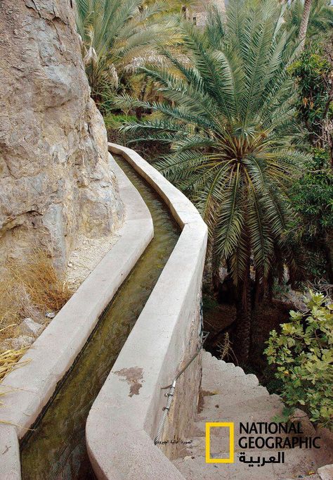 Falaj in the Mountain Irrigation System Design, Ancient Irrigation, Water Irrigation System, Dream House Garden, Garden Archway, Water Architecture, Water Irrigation, Sultanate Of Oman, Areas Verdes