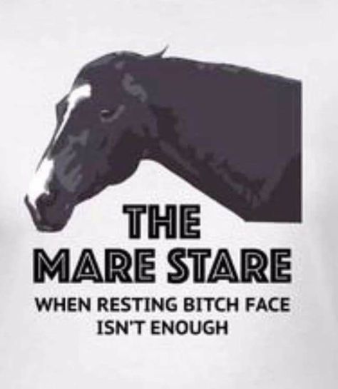 Equestrian Memes, Funny Horse Memes, Horse Memes, Outdoors Quotes, Horse Quotes Funny, Funny Horse Videos, Funny Horse Pictures, Horse Jokes, Country People