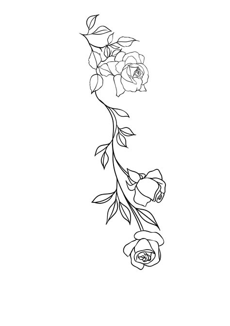 Roses With Vines Drawing, Roses On A Vine Tattoo, Rose Arm Wrap Tattoo, Vine With Roses Tattoo, Arm Wrap Tattoo Roses, Rose Vine Tattoo Stencil, Vines And Roses Tattoo, Rose Vine Forearm Tattoo, Rose Filler Tattoos