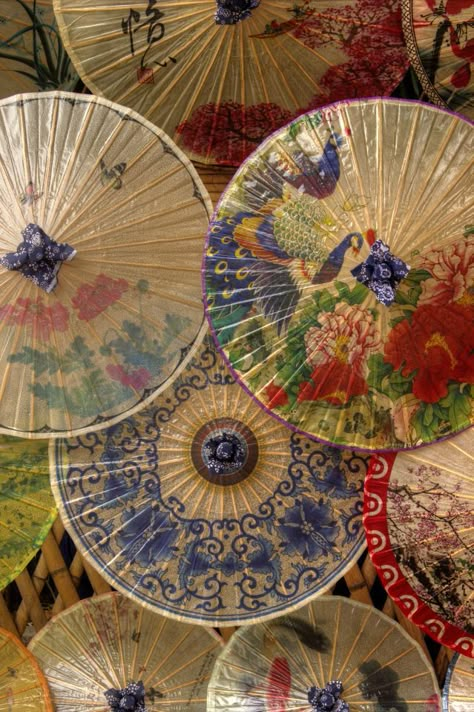 Beautifully painted paper umbrellas Selamat Hari Valentine, Oil Paper Umbrella, Chinese Umbrella, Japanese Umbrella, Paper Umbrellas, Under My Umbrella, Umbrellas Parasols, Art Japonais, Foto Art