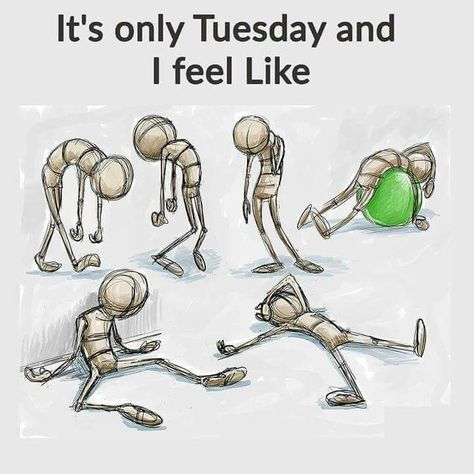 Tuesday Quotes Funny, Tuesday Meme, Its Only Tuesday, Good Morning Handsome, Funny Images With Quotes, Good Morning Tuesday, Morning Memes, Tuesday Quotes, Tuesday Humor