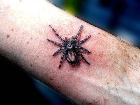 realistic tattoos pictures | Realistic Tattoos Creepy Crawly Tattoo, Creepy Bug Tattoo, Creepy Path, Realistic Spider Tattoo, Insect Tattoo Design, Jumping Spider Tattoo, Black Widow Spider Tattoo, 3d Spider Tattoo, Spider Insect