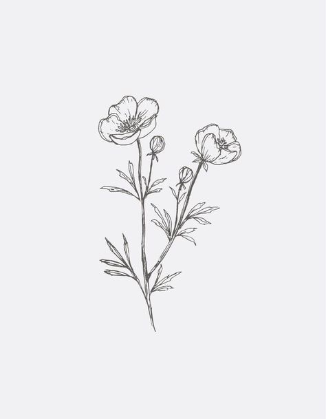 Buttercup Flower Tattoo, Buttercup Drawing, Buttercup Tattoo, Gooseberry Moon, Tattoo Black And White, Line Art Flowers, Buttercup Flower, Moon Vector, Illustration Botanique