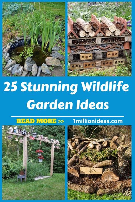 If you love seeing a natural-looking garden, or you’ve got a passion for wildlife and want to attract more to your garden,… Bird Sanctuary Ideas Backyards Gardens, Flower Aesthetic White, Wedding Flower White, Wildlife Garden Ideas, Flower Arrangements White, White Flower Aesthetic, Rooftop Garden Ideas, White Flowers Aesthetic, Flower Girl Dresses White