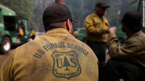 Us Forest Service, Yosemite California, Wildland Fire, Forest Ranger, Wildland Firefighter, Female Firefighter, Volunteer Gifts, Smokey The Bears, Electric Truck