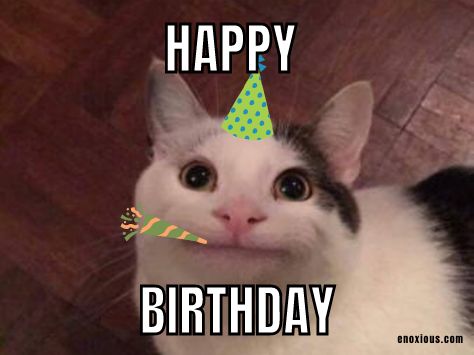 21 Happy Birthday Cat Meme Ideas Happy Birthday Cat Meme, Birthday Cat Meme, Happy Birthday Crazy Lady, Cat Birthday Memes, Happy Birthday Cats, Cat Birthday Wishes, Funny Birthday Pictures, Cat Birthday Funny, Happy Birthday Funny Cats