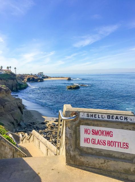 Learn all about the best La Jolla beaches and why each one is special. La Jolla San Diego, La Jolla Beach, La Jolla California, San Diego Travel, Usa Beaches, San Diego Houses, California Vacation, San Diego Beach, Shell Beach