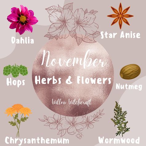 July Witchcraft, November Correspondences, November Witchcraft, November Magick, Full Moon Meaning, Herb Magick, Pagan Holidays, Moon Meaning, Happy November