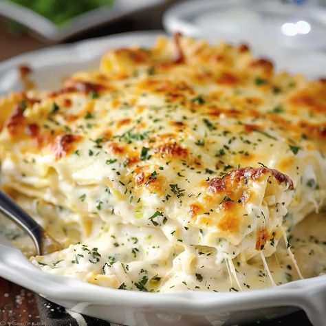 Alfredo Chicken Lasagna Christmas Eve Chicken Alfredo Lasagna, Alfredo Vegetable Lasagna, Bbq Chicken Lasagna, 2 Person Lasagna Recipe, White Lasagna With Italian Sausage, Crockpot Chicken Lasagna, Chicken Broccoli Alfredo Lasagna, What Goes With Lasagna, Alfredo Chicken Lasagna