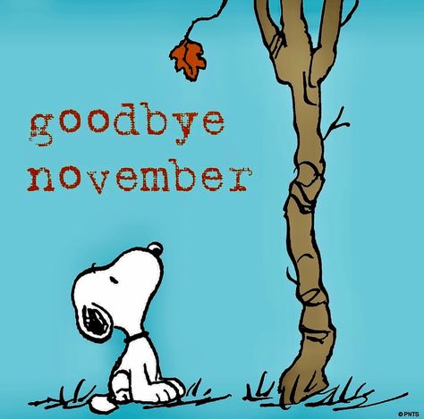 30.11.2017 Snoopy November, Bye November, Goodbye November, Peanut Pictures, Snoopy Comics, Snoopy Funny, Hello November, Peanuts Cartoon, Hello December