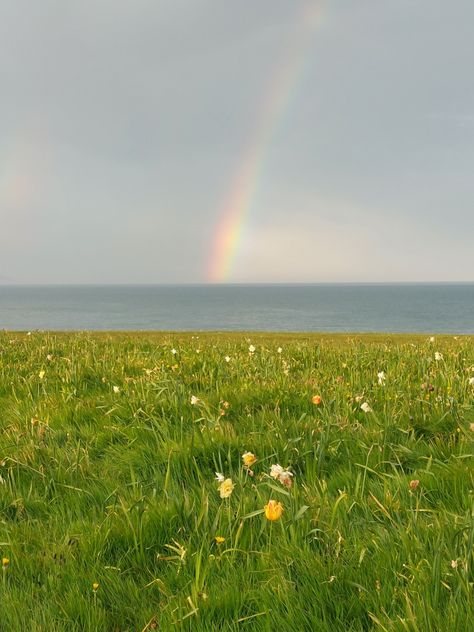 Flowers and a rainbow aestethic May Astethic, Book In Hand, Spring Rainbow, Rainbow Flower, Summer Bucket Lists, Summer Bucket List, Life Aesthetic, Summer Bucket, Rainbow Flowers