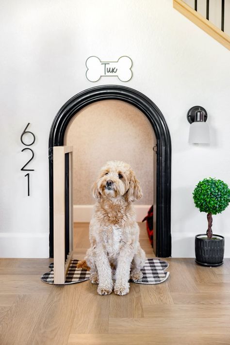 Built In Pet Space, Cozy Pet Corner, Dog Features In House, Diy Dog Closet Ideas, Dog Corner Aesthetic, Under Stair Dog Space, Small Dog Room Ideas, Dog Hotel Rooms, Luxury Dog Room