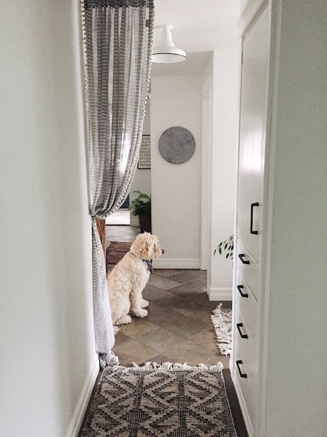 that cute curtain in doorway to kitchen Doorway Drapes, Dividing Curtain, Hallway Curtains, Curtains For Doorways, Creative Curtains, Hallway Pictures, Folding Screens, Studio Layout, Closet Curtains