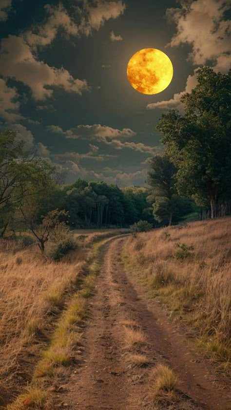 Nature Background Images, Cool Pictures For Wallpaper, Amazing Nature Photos, Beautiful Locations Nature, Beautiful Landscape Wallpaper, Beautiful Nature Wallpaper, Jolie Photo, Sunset Pictures, Beautiful Nature Pictures