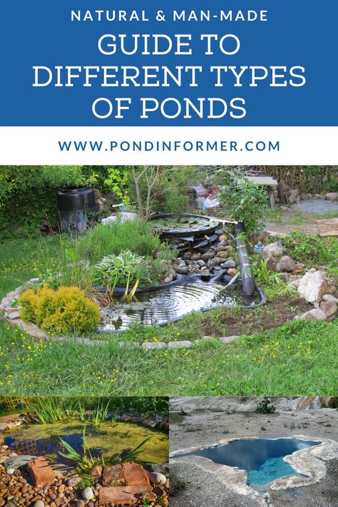 Guide to the different types of ponds that exist, including natural, man-made, and fish ponds. Man Made Pond, Natural Ponds, Vernal Pool, Swimming Ponds, Pond Decorations, Backyard Aquaponics, Mini Pond, Goldfish Pond, Pond Maintenance