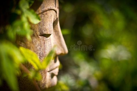 Buddha face in a garden. A side profile of a buddha face in a sunlit garden , #affiliate, #garden, #face, #Buddha, #side, #sunlit #ad Side Face, Buddha Face, Side Profile, Stock Photography Free, A Garden, Vector Design, Stock Photography, Design Ideas, Royalty