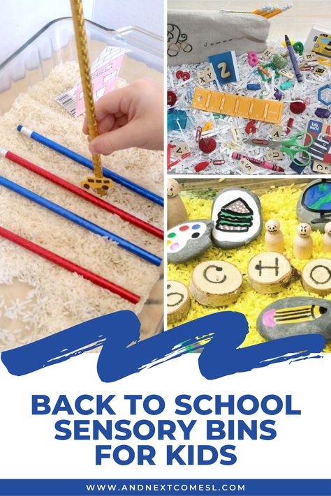 School Sensory Bin, Back To School Sensory Bin, Back To School Sensory, Sensory Bins For Toddlers, Sensory Bin Activities, Sensory Bin Ideas, Sensory Activities For Preschoolers, Indoor Toddler Activity, Beginning Of Kindergarten