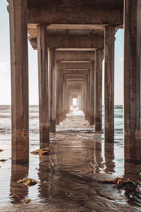 Scripps Pier San Diego Scripps Pier San Diego, Blacks Beach San Diego, San Diego California Photography, San Diego Pier, Southern California Road Trip, Pier Photos, Pier Photography, Beach Equipment, San Diego City