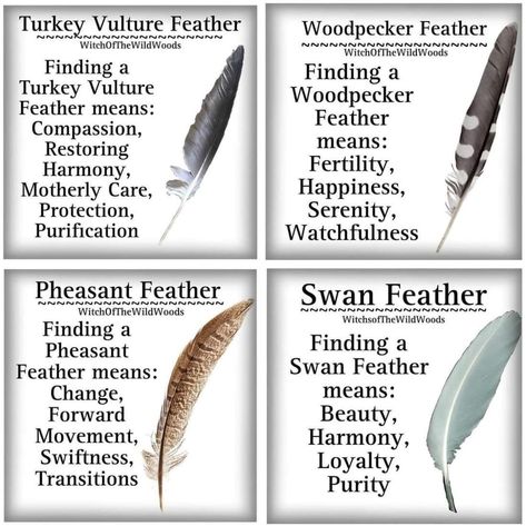 Feather Color Meaning, Feather Magic, Finding Feathers, Feather Meaning, Energy Circles, Animal Spirit Guides, Witch Tips, Magic Spell Book, Witch Spirituality