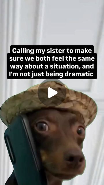 Amy Knappick/ How to Make Money Online on Instagram: "Who is more dramatic? You or you sister?😆

#sisters #bestfriends #humor 
#relatable #sistersquad" Me And My Bestie, Relatable Meme, Older Siblings, Trending Songs, My Bestie, Best Friend Goals, Simplest Form, Daily Memes, May 11