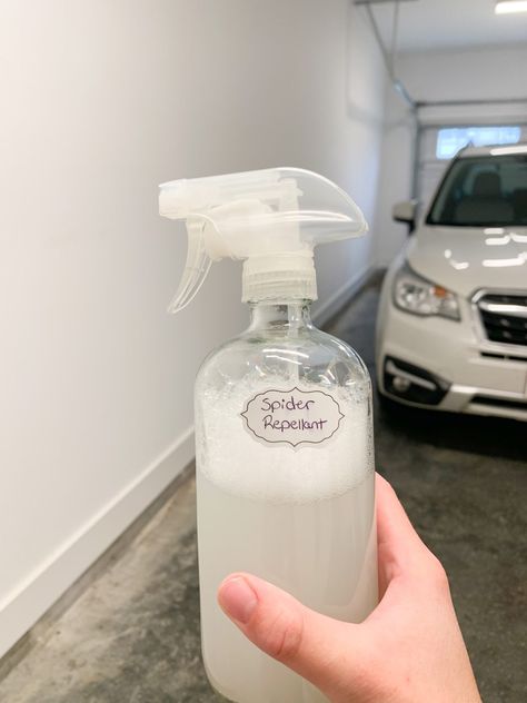 DIY Spider Spray (Nontoxic + Safe Indoors)