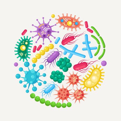 Download the Set of bacteria, microbes, virus, germs. Disease-causing object isolated on background. Bacterial microorganisms, probiotic cells. Vector cartoon design. 6582217 royalty-free Vector from Vecteezy for your project and explore over a million other vectors, icons and clipart graphics! Anti Microbial Resistance Poster, Floral Wallpaper Phone, Vector Cartoon, Med School, Logo Banners, Cityscape Photos, Wallpaper Phone, Heart With Arrow, Custom Illustration