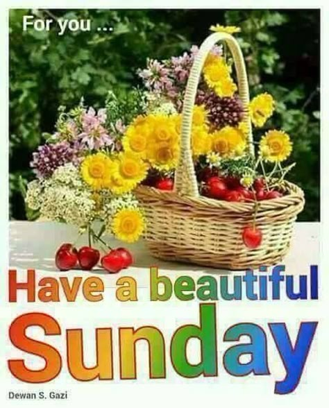 Happy Sunday Flowers, Quotes Sunday, Happy Sunday Images, Have A Beautiful Sunday, Good Morning Sunday Images, Good Morning Clips, Happy Sunday Morning, Sunday Morning Quotes, Good Morning Massage