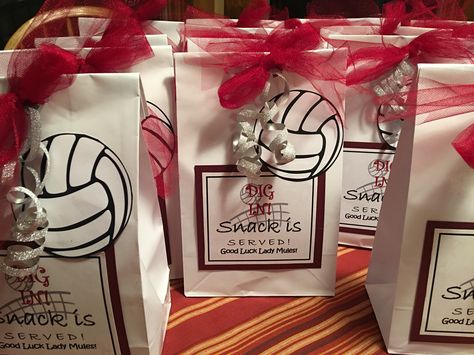 Volleyball Team Bags Volleyball Snack Bags Team Mom, Sports Team Gift Bag Ideas, Volleyball Easter Basket Ideas, Volleyball Treat Bags Team Gifts, Team Snack Bags Volleyball, Gift Baskets For Volleyball Coaches, Volleyball Baskets Gift Ideas, Volleyball Nationals Gifts, State Volleyball Gift Ideas