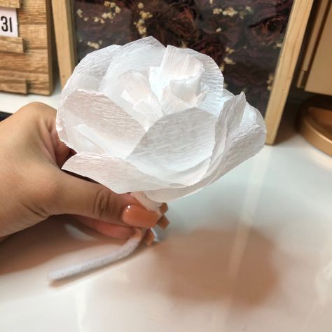 so easy to create these for any occasion! No glue needed. #streamer #diy #crepe paper #flower #no glue #chenille stem Streamer Diy, Crepe Paper Flower, Crepe Paper, Paper Flowers, Glue, To Create, Flowers