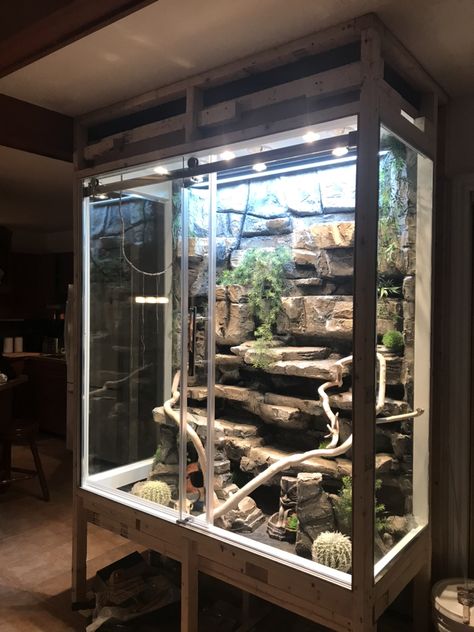 Carpet Python Enclosure, Lizard Tank Ideas, Snake Tank Ideas, Reptile Setup, Ackie Monitor, Reptile Room Ideas, Python Enclosure, Snake Tanks, Reptile Enclosure Ideas