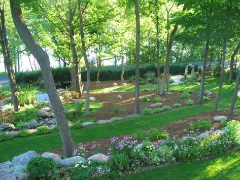 planting on big slope - Yahoo Search Results Image Search Results Ideas Around Trees, Sloping Backyard, Wooded Backyard, Landscaping A Slope, Affordable Backyard Ideas, Landscaping Around Trees, Wooded Landscaping, Sloped Backyard, Rock Garden Plants