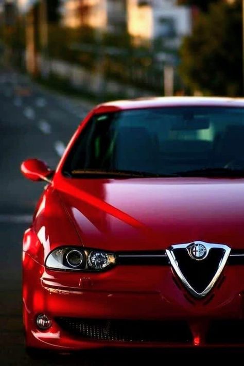 Alfa Male, Alfa Romeo Logo, Alfa Romeo Gta, Alpha Romeo, Alfa Romeo 156, Alfa Romeo 147, Alfa Romeo Cars, Fiat Abarth, Italian Cars