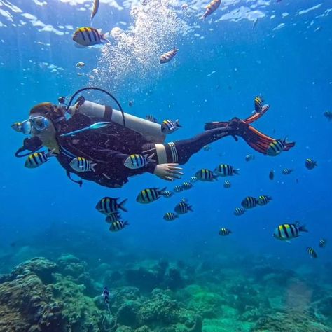 Diving Videos, Skin Diving, Undersea World, Adventure Inspiration, Scuba Diver, March 16, Scuba Diving, Art Reference Poses, Diver