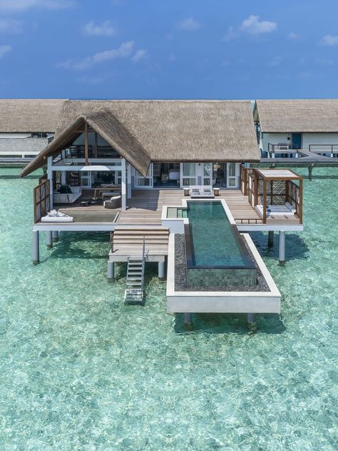 Maldives Hotel, Water Villa, Four Seasons Resort, Overwater Bungalows, Maldives Resort, Maldives Travel, Dream Vacations Destinations, Luxury Resorts, The Maldives