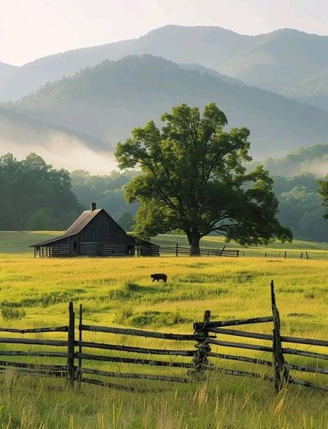 Beautifull Tennessee & Great Smoky Mountains | Cades Cove, Great Smoky Mountains, Tennessee 🇺🇲 | Facebook Mountains Tennessee, Smoky Mountains Tennessee, Cades Cove Tennessee, Mountain Vibes, Smokey Mountain, Tennessee Travel, Gatlinburg Tennessee, Cades Cove, Forest Pictures