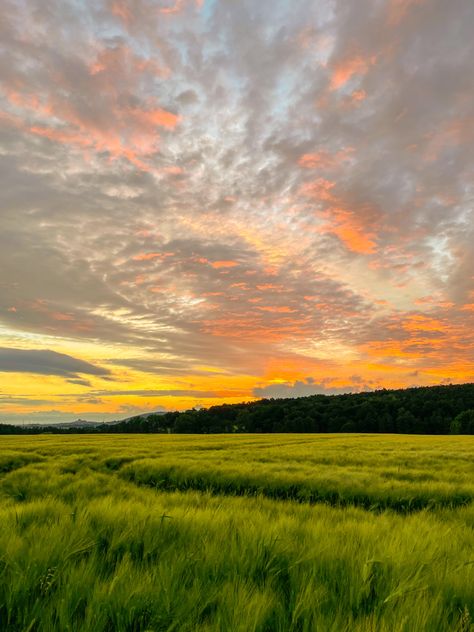 Farm Fields Landscapes, Grassy Field Aesthetic, Field With Sunset, Sunset Countryside, Sunset Ideas, Corn Drawing, Sunset Meadow, Sunny Field, Sunset Field