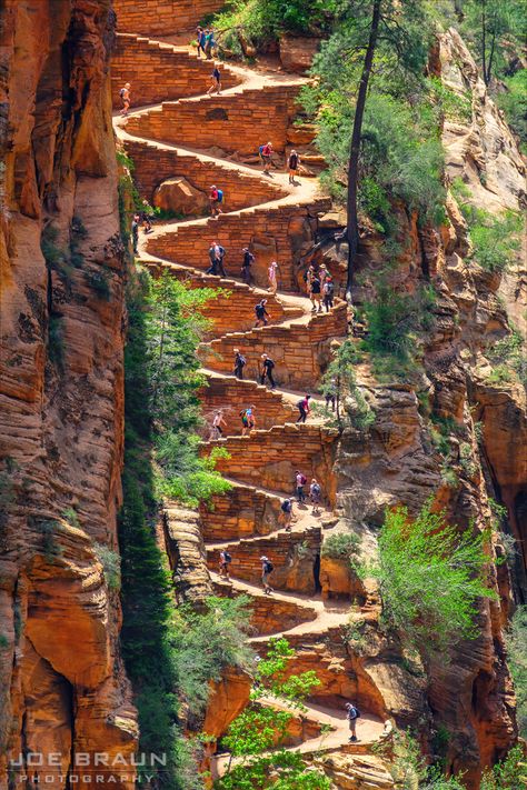 Angels Landing Zion National Park, Zion National Park Photography, Angels Landing Zion, Zion Utah, Utah National Parks Road Trip, Utah Vacation, Utah Adventures, Utah Road Trip, Zion National Park Utah